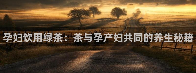 正规龙八国际