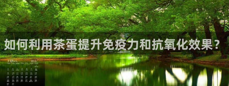 www.龙八国际