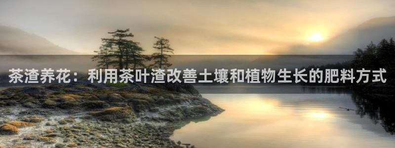 龙八国际app是什么