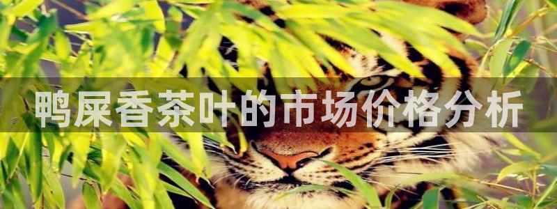 龙八国际集团