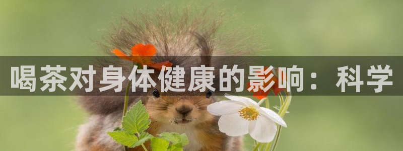 龙八国际登录密码