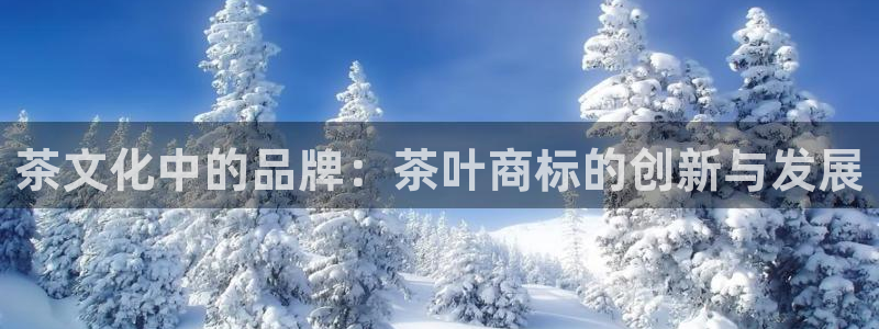 龙八国际老虎机