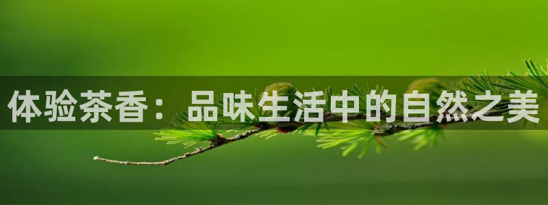 龙八国际新版