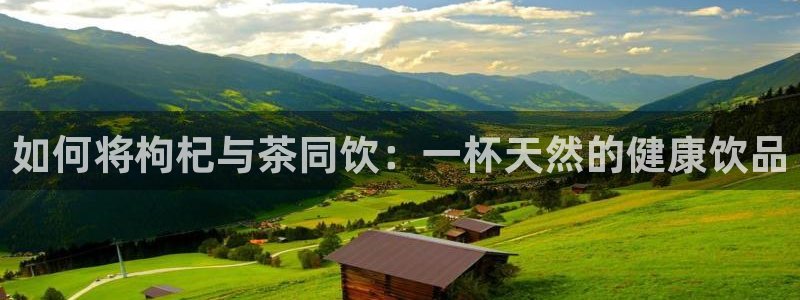 龙八国际娱乐
