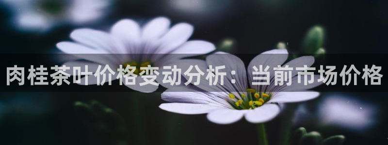 龙八国际官网手机版登录