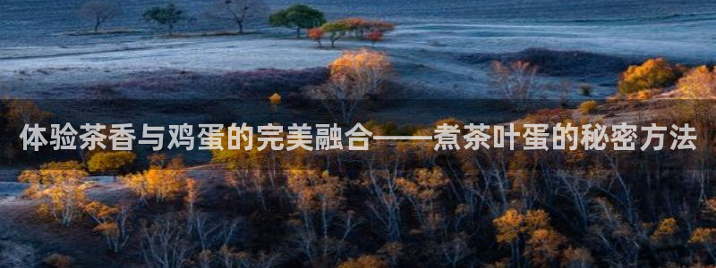 龙八国际手机版下载注册