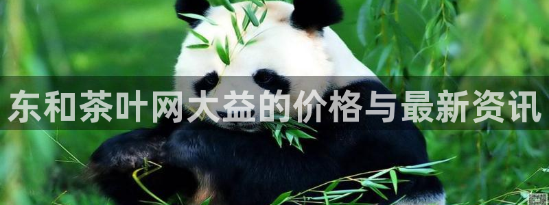 龙八国际手机app