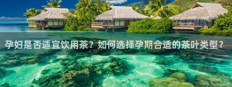 龙八国际