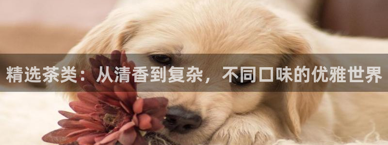 龙八国际优惠