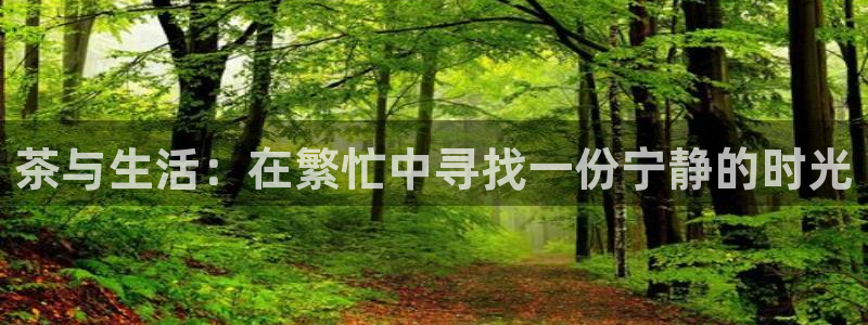 龙八国际娱乐二维码