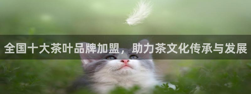 龙八国际集团有限公司