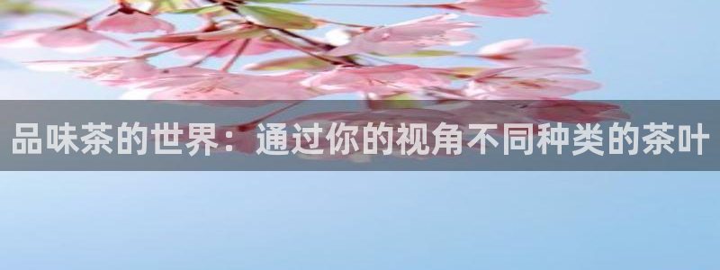 龙八国际音乐