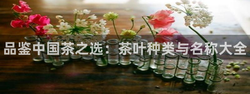 龙八国际花园宝宝