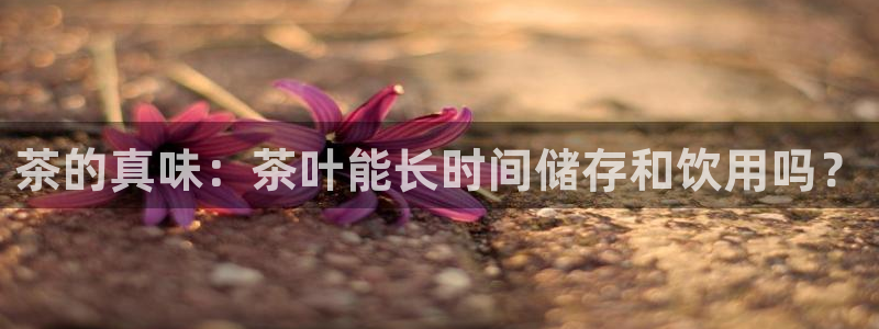 龙八国际怎么注册官网