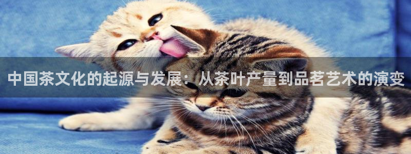 龙八国际手机版登录