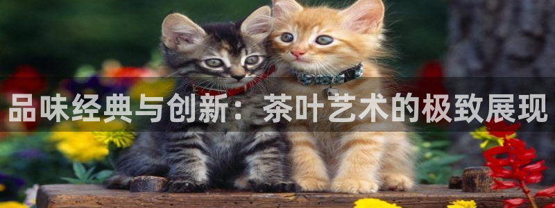 龙八国际玩什么游戏能赢