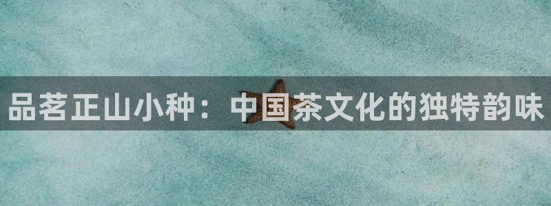 龙八国际网址视讯平台