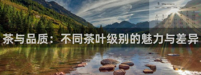 龙八国际花园宝宝