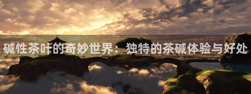 龙八国际是什么