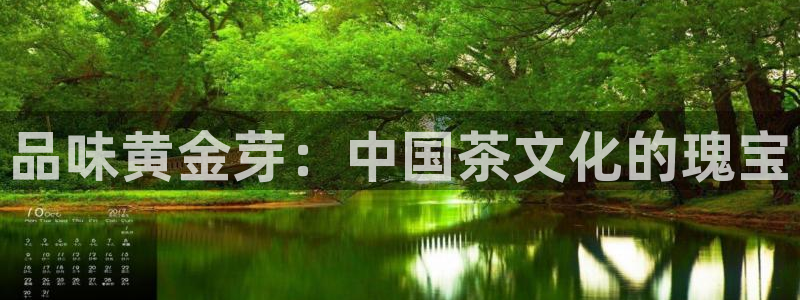 龙八国际版游戏