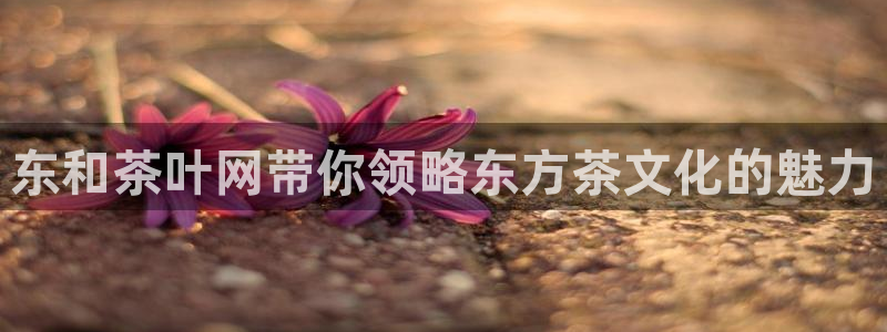 龙八国际手机下载