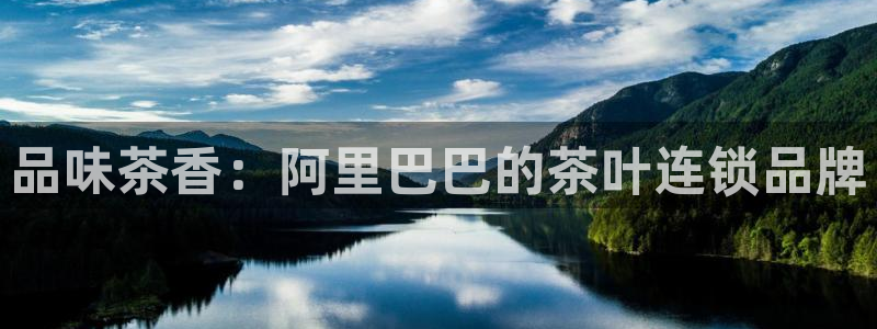 龙八国际app电话号码