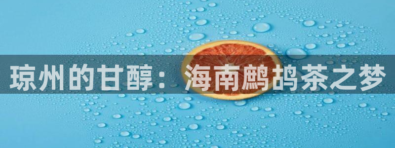 头号玩家龙八国际