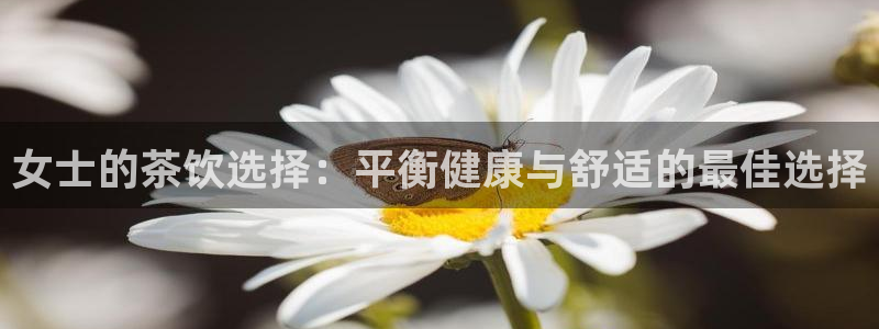龙八国际玩什么游戏能赢
