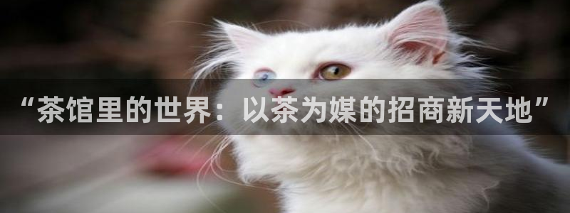 龙八国际娱乐场