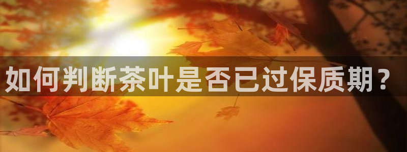 龙八国际q18 tv
