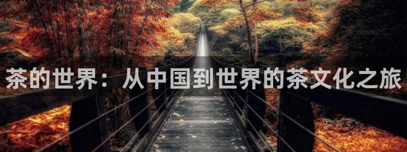 龙八国际下载链接安卓