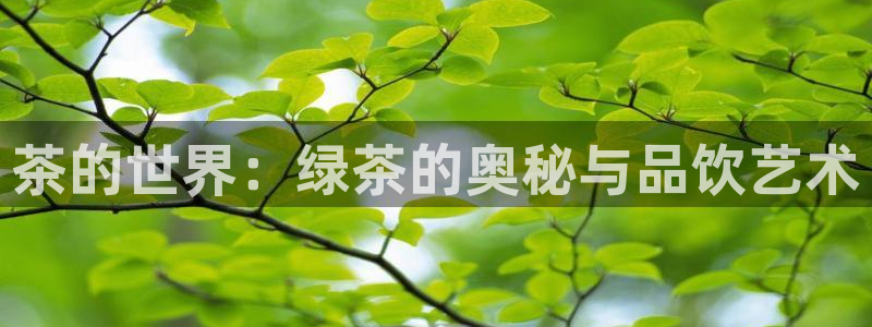 龙八国际平台网站