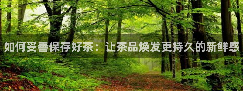 龙八国际老虎机下载