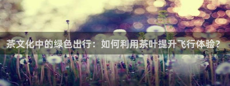 龙八国际贸易有限公司