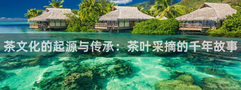 龙八国际什么游戏给钱