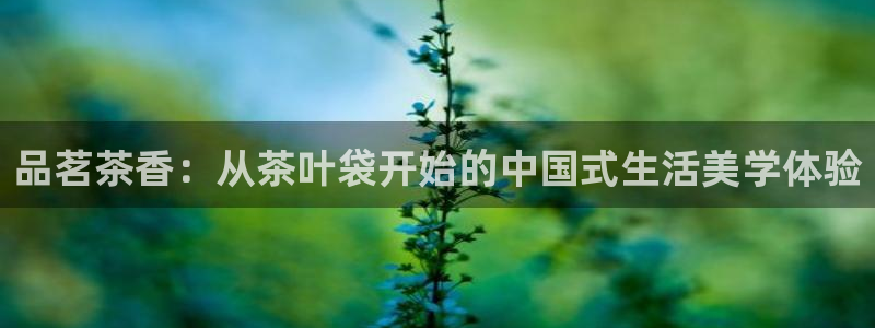龙八国际唯一官网