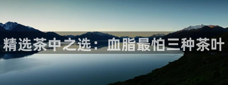 龙八国际娱乐地