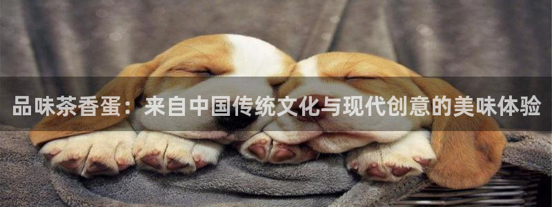 龙八国际app下载安装