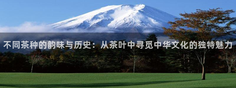 龙八国际怎么进不去了