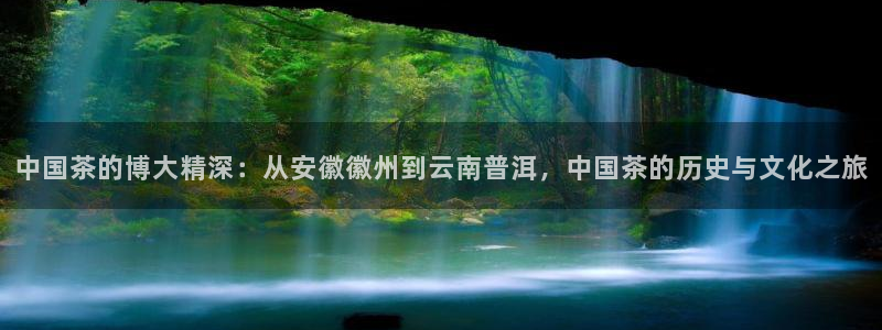 龙八国际娱乐pt