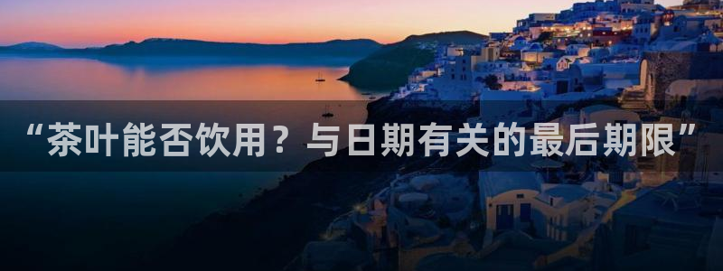 龙八国际游戏维护时间
