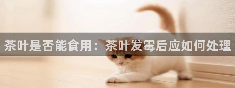 龙 八国际