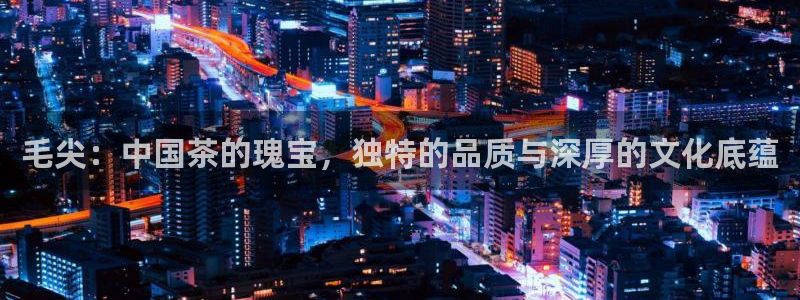 龙八国际手机游戏官网
