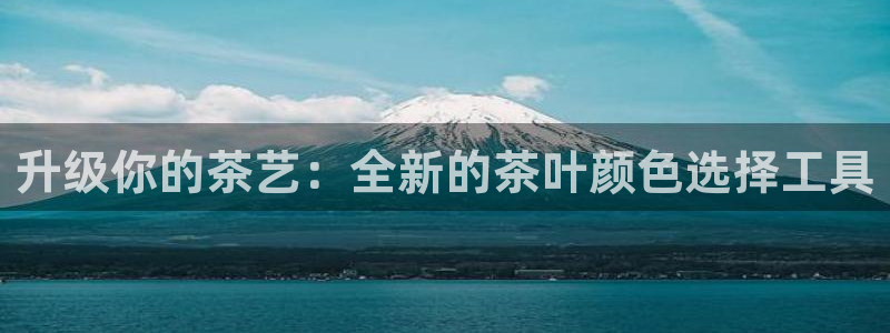 龙八国际 我的