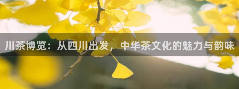 龙八国际游戏