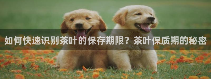 龙八国际app客户端