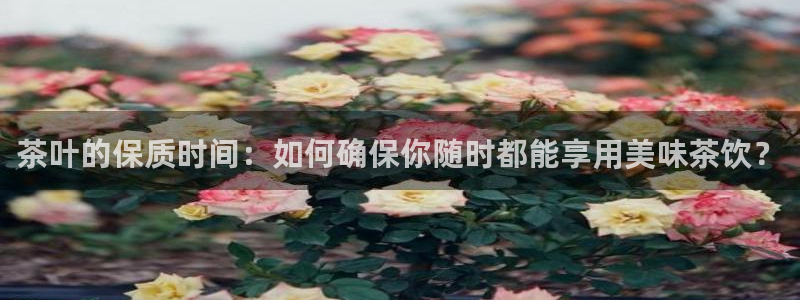 龙八国际网页登陆