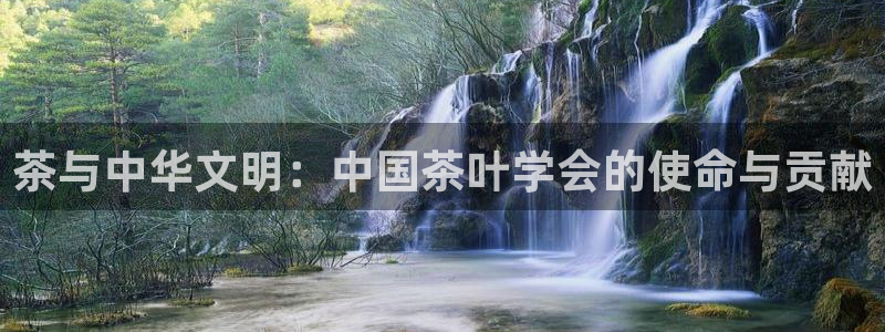 石家庄龙八国际老板是谁