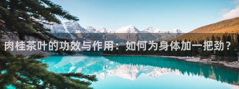 龙八国际黑钱