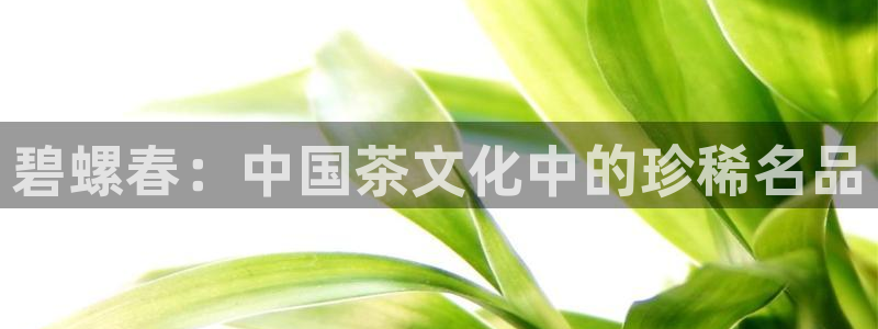 龙八国际手机版入口官网